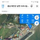 드르니포장마차