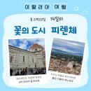 명화비디오방 | [이탈리아 3주 자유여행] 14일차_ 꽃의 도시 피렌체 입성! (ft, 두오모 쿠폴라에서 마주한 붉은지붕)