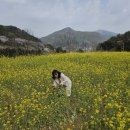 뮤지엄남해 이미지