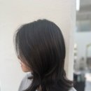 하늬미용실 | 원효로미용실 용산미용실 모리헤이즈 하늬부점장 뿌리 염색 잘하는 곳 비건염색 빌라로도라염색