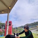 카페밸리 - 양산시 어실로 1206 | 카페밸리