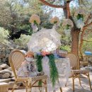 알프스파크 이미지