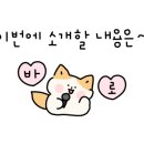 시화세차정비 이미지