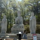 청주 용호사 ‘소원돌’ 방문 후기