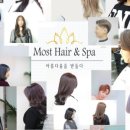 더모스트(THE MOST) 이미지