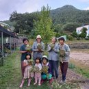 참좋은농부