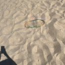 NR-6[경강로]-하-216 | 여자 혼자 강릉 여행-뚜벅이편(6월에 다녀온걸 지금쓴다고? 허허)