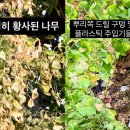 연합환기