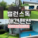설악단독 펜션민박 | 경기양평 밸런스독 애견 독채펜션 방문후기 내돈내산