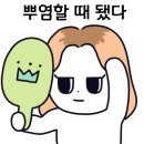 시아헤어살롱 - 달서구 한실로 45 | 시아헤어살롱