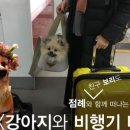 놀자 뉴스1