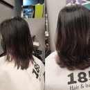 185 헤어 (Hair)