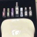 플럼블라썸(Plum Blossom) 이미지