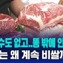 "버릴 수도 없고..똥밖에 안 남아" 한우는 왜 계속 비쌀까 이미지