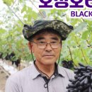 보성농장 이미지