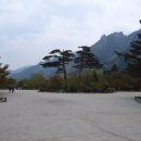 설악산천연보호구역 이미지