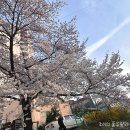 지에스25 천안원성천점 이미지