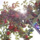 학송농장 이미지