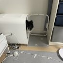 멍멍이 이발관 이미지