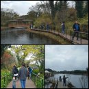 풍차랑 허브랑 | 제주여행 9일차//아이들에게 인기짱 "에코랜드"