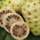 노니 필라테스 이미지