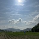 복음반점 이미지