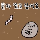 아삭플란트치과의원 이미지