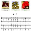 도안초등학교(병설유치원) 이미지