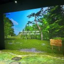 시민카랜드 | 원주 소금산 그랜드밸리 케이블카 코스 총정리, 아이와 함께 출렁다리부터 울렁다리까지 완주 후기!