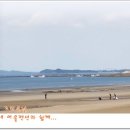 꽃지어울