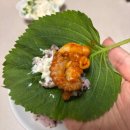 독도유통 | 독도쭈꾸미 밀키트 후기｜혼밥부터 집들이까지 간편하게 즐기는 쭈꾸미밀키트
