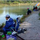 삼괴정낚시터 이미지