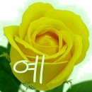청양친환경블루베리농장 이미지