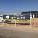 놀러오시개 이미지