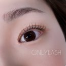삼척속눈썹온리래쉬 네이버블로그