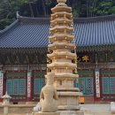 평창 월정사 중대 사자암 목조비로자나불좌상 | 평창 오대산 상원사, 중대 사자암, 월정사