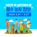 금주 꼭 실천해야하는 필수 농사정보 2022.3.21~ 2022.3. 27 봄준비 벼 감자 고구마 옥수수 수박 고추...