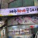 제주처녀꿀돼지