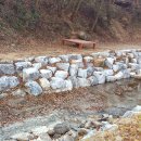 충주 추평천 충주신문