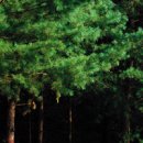 동아오토 이미지