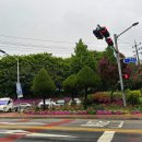 신태평양약국 이미지