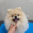 까까살롱