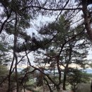 체력관리와 건강 | 한국 비봉 등산 후기 (등산 준비, 풍경, 체력관리)