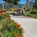 옥정호목장 이미지