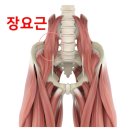 신흥동002 이미지