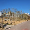 주식회사 바른정원 이미지