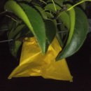 사촌농장 이미지