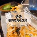 일산김해뒷고기 | 울산 동구 일산지점 평화김해뒷고기 후기: 고기 맛집 탐방기