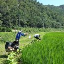 꿈이익는영농조합법인 이미지