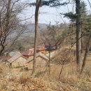 국립아세안자연휴양림 이미지